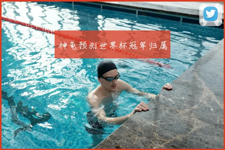 神龟预测世界杯冠军归属