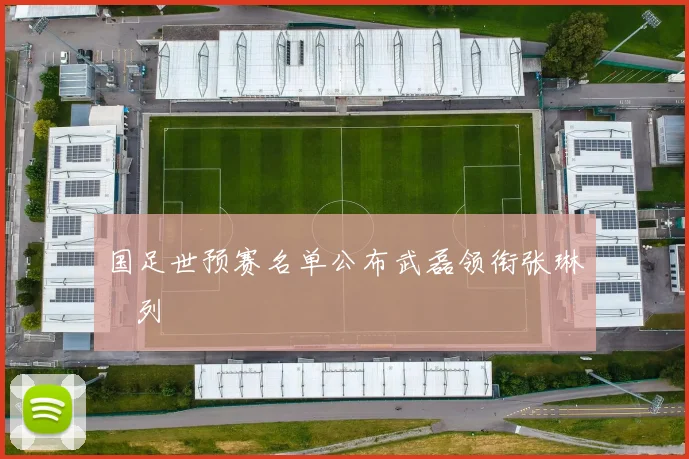 国足世预赛名单公布武磊领衔张琳芃列