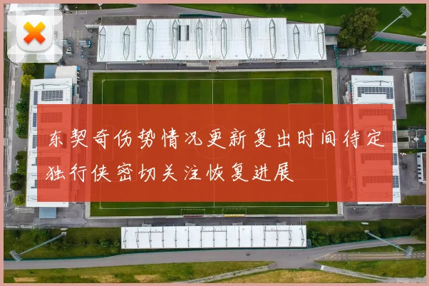 东契奇伤势情况更新复出时间待定独行侠密切关注恢复进展