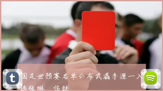国足世预赛名单公布武磊李源一入选张琳芃伤缺