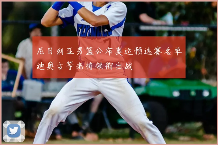 尼日利亚男篮公布奥运预选赛名单迪奥古等老将领衔出战